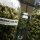Deadly Weed Strain Kills 136 Users In Los Angeles